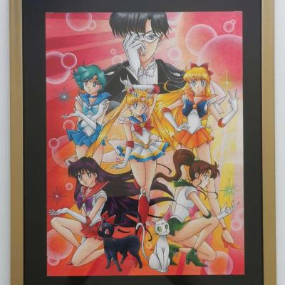 Sailor moon compo